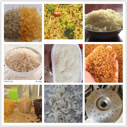 营养米方便米饭生产设备自动化即食快熟米饭营养米加工设备