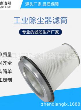200900005空气过滤器滤芯TJD聚L纤维布除尘酯滤筒S5598