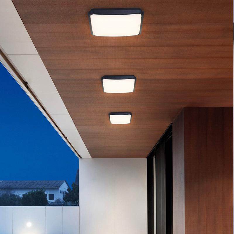 ZZ-XD202户外防吸顶灯水防室虫外阳台灯走廊大门入户屋口檐庭院三