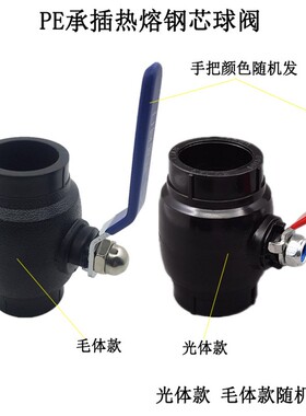 包邮PE钢芯球阀4分6分1寸 PE铁手把热熔球阀自来水管配件阀门开关
