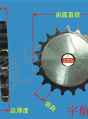 定做4分5分6分1寸08B10A12A16A链轮10B12B16B齿轮花键开孔非标