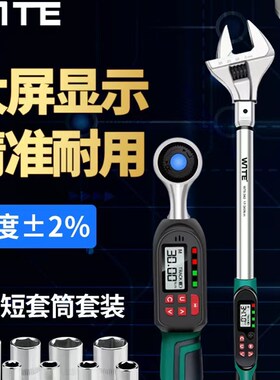 电子数显扭力扳手可调式力矩公斤高精度扭矩测试仪钢筋活动头套装