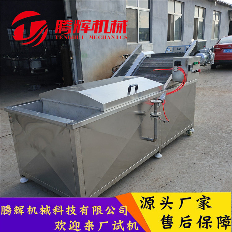 商用果蔬漂烫杀青清洗流水线