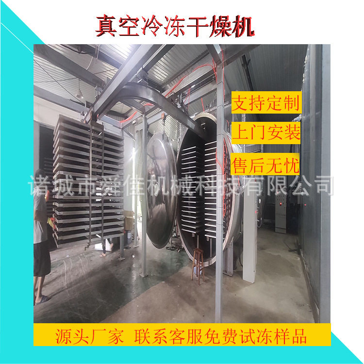 上海青胡萝卜低温真空冻干机