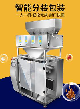 LT210水平给袋机全自动给袋式包装机调味粉颗粒粉封口包装一体机