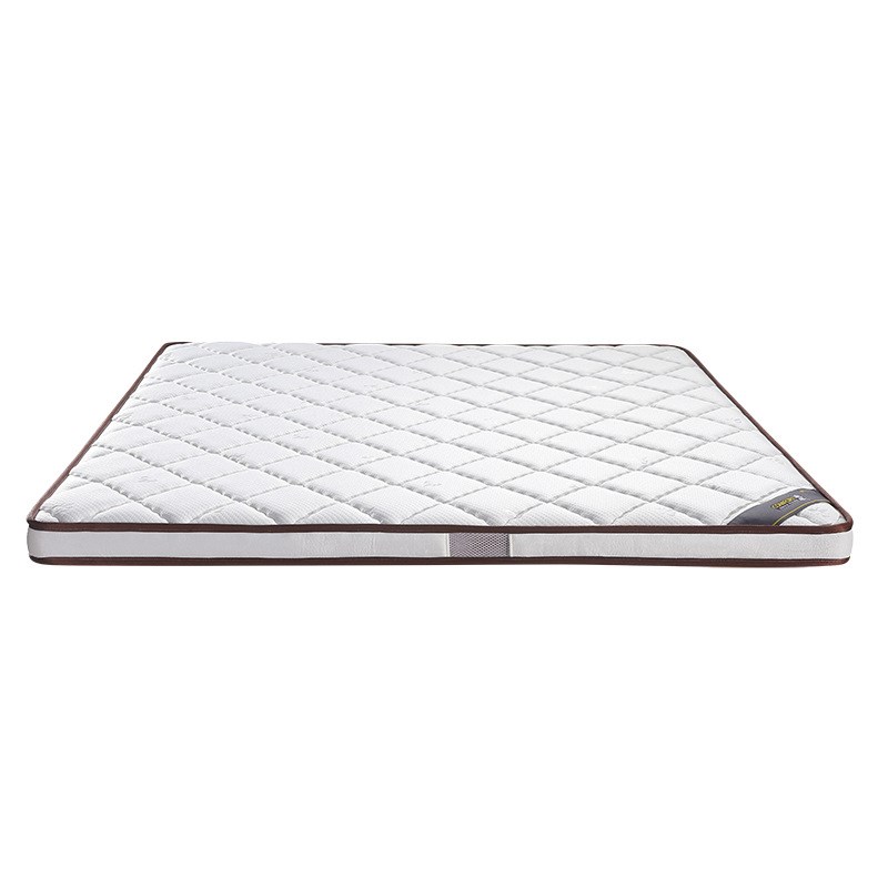 椰棕床垫 棕垫薄床垫硬床垫1.5米1.8m双人床垫经济型棕垫