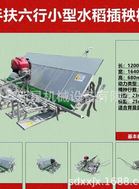 家型用小4-6行水插秧机免人工力汽油动轻型稻水稻种GVU植机