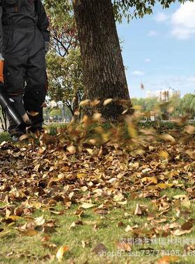 58V充灰电式工业吹风机手提大KEL功率马路鼓线风机无叶落吹叶机吹