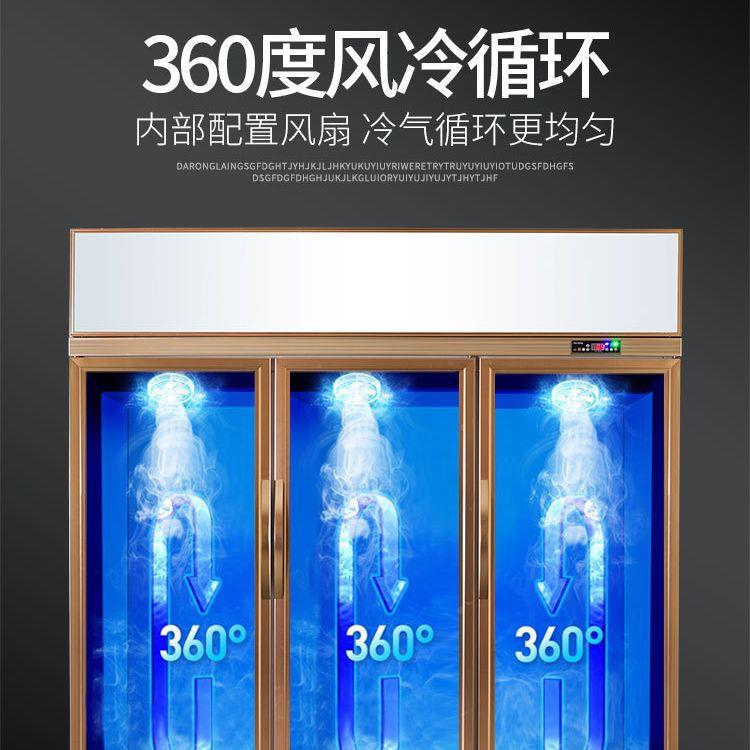啤酒柜876冷藏展柜示柜立式商用冰箱单门柜保鲜饭店超市冷双门饮