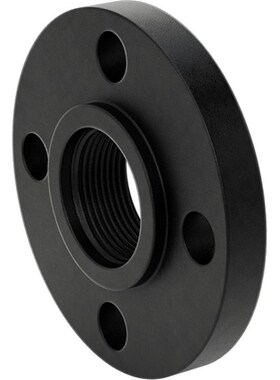 NPT 低压碳钢法兰 112P384