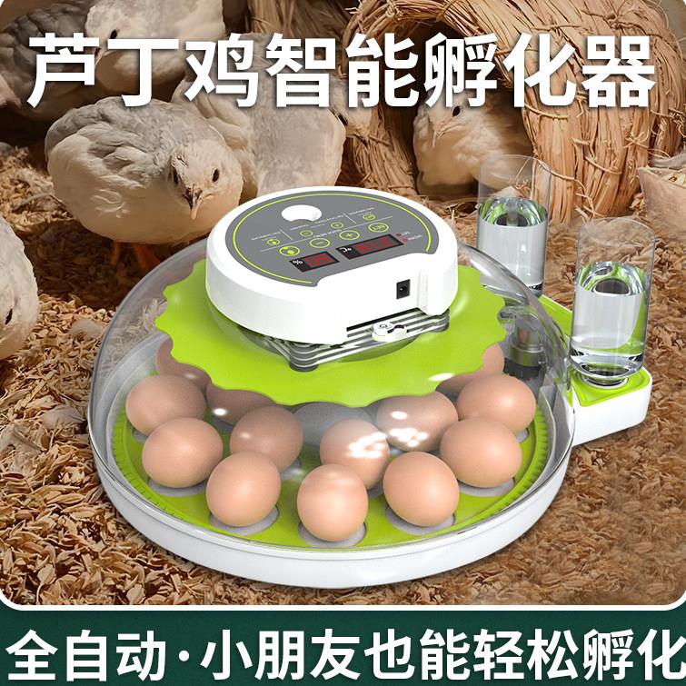 威振小鸡孵化器小型家用迷你孵化机全自动智能小鸟蛋芦丁鸡孵蛋箱
