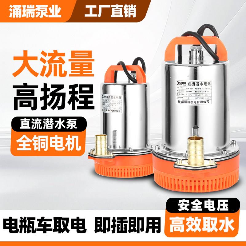 直流潜水泵12V抽水机24V48V60V电动车小型农用灌溉抽水泵电动车
