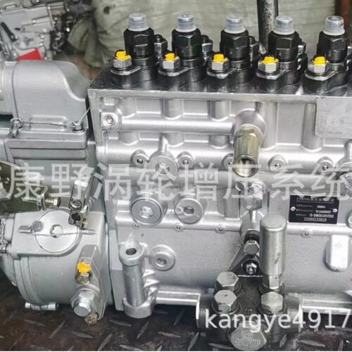 喷油泵CB6H954/CB6P810S