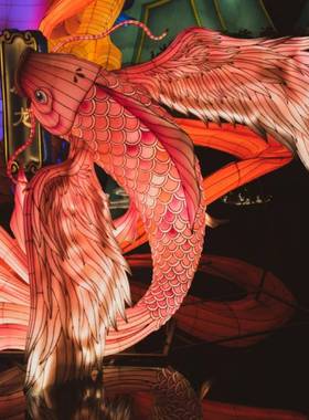 20镇25大型鱼型花MCT灯午彩灯中户外灯秋展景端区古街道灯会灯笼