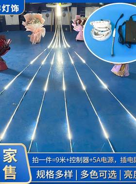 黄色ed流水幻彩灯带低压12lv线型软超亮马灯家跑具流89550水追光