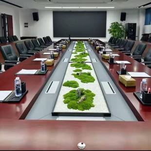 会56498646议桌长形微观造景摆室件办公售楼大厅景永生苔绿植藓中