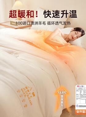 澳洲纯进口羊毛被100羊被子冬被棉被加厚UPD保暖被芯冬200x2季毛3