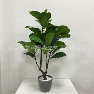 琴叶榕栽外客盆厅装饰植物盆地景户庭院落绿植RPJ假树