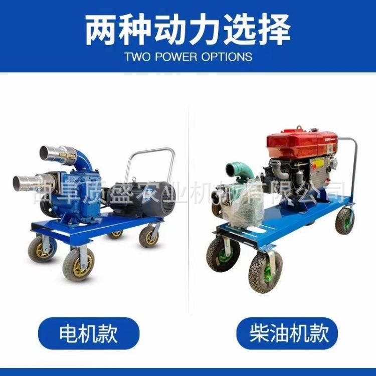 市政下水污泵2寸口径电排FYL抽机款鱼塘清淤自吸道泵粪泵