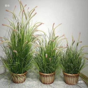 MOH狗尾苇巴草花芦其草假草草绿植毛毛虫猫尾假花箱装 饰造景观他