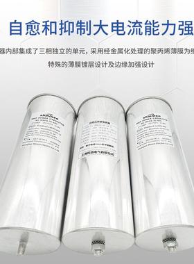 上海民恩低压并电容器圆32290柱形3BMJ联0.S48-30-3补偿0KAVR480V