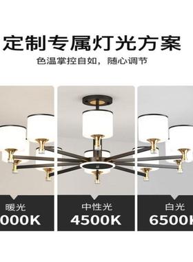 客厅吊2025年新具简约大气新中灯式店款铺商用灯餐HTX厅主灯工厂