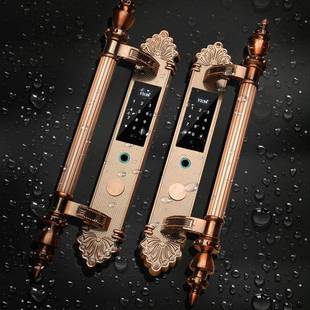 大门锁别墅电能子锁密码锁双开防盗JH606门铜门智锁家用全自动纹