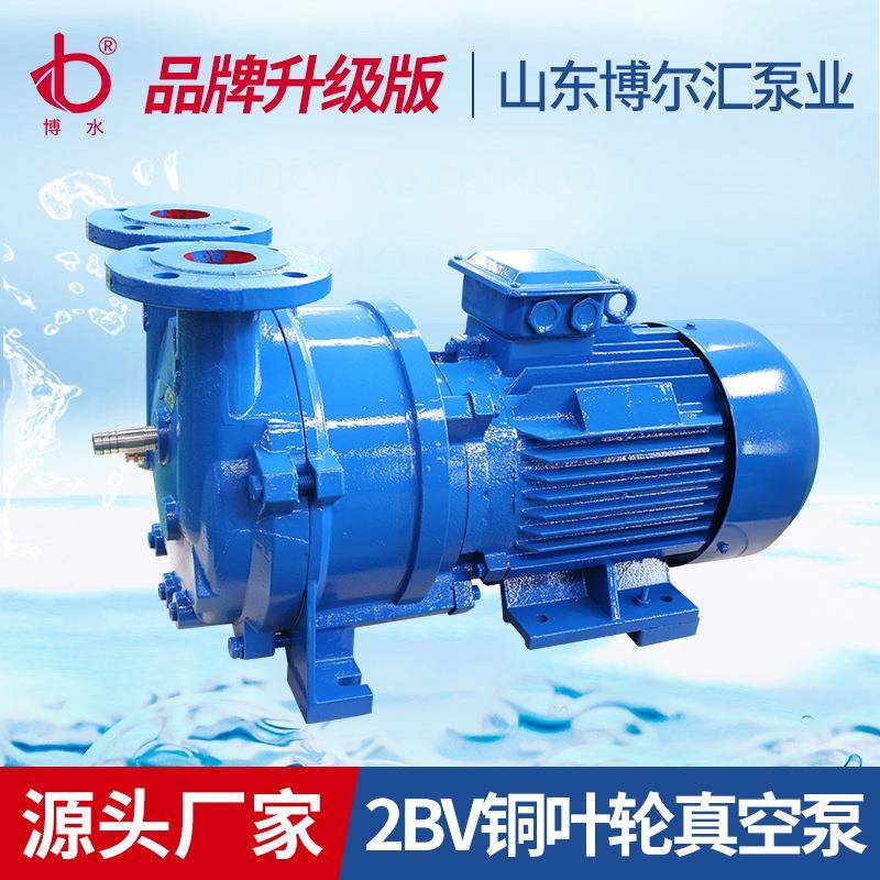 2用BV5KHZ311水环式真空泵雕刻叶机专泵灯泡吸附真空泵11kw铜轮泵