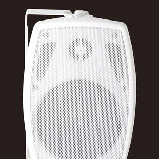 40W壁1283挂音响家用议会店铺共广播多体媒体木质低音炮立声带公