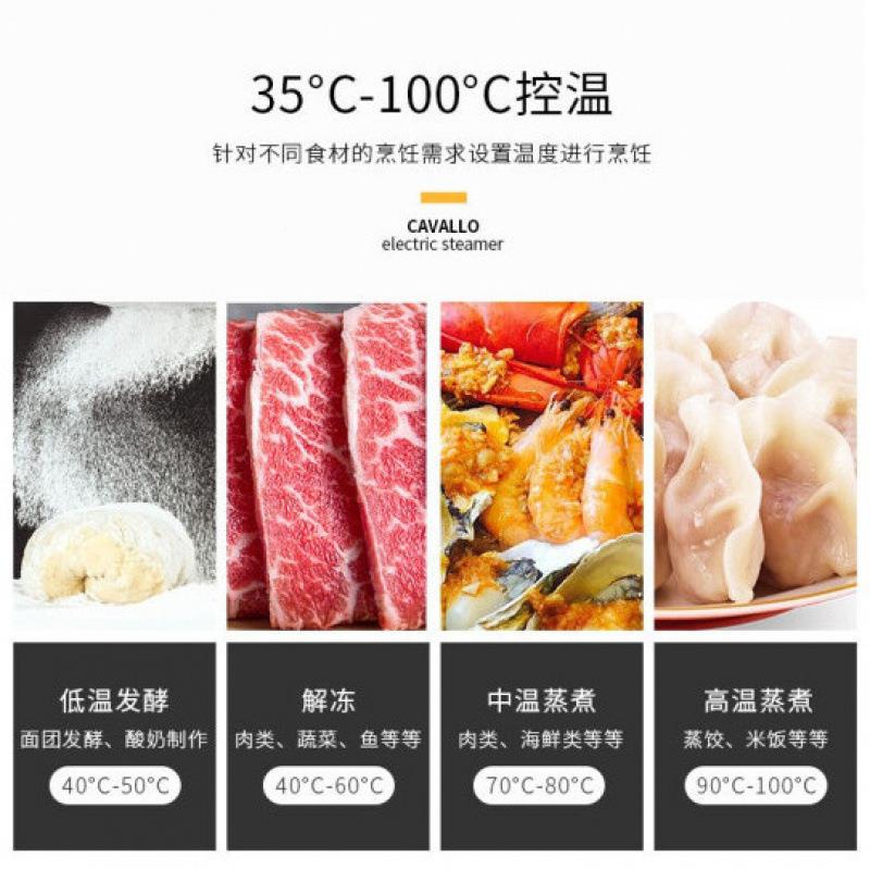 式佳威路蒸纯箱家用台电蒸饭箱蒸柜箱蒸家庭用小型蒸箱蒸汽FDO电