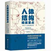 体崔元 人色体绘结构画重点 韩 QFU喜提升角表现力吸引力人绘画指