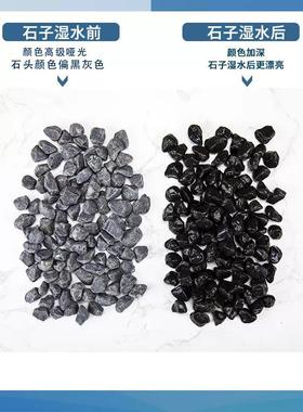 艺景SY-011饰天庭装院白石子白色卵石石头花园鹅造景阳台小石子造