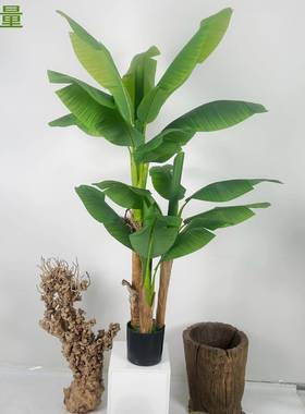 新仿真绿植LHU盆栽芭蕉室树内大型绿植造景仿真树款地摆件落带花