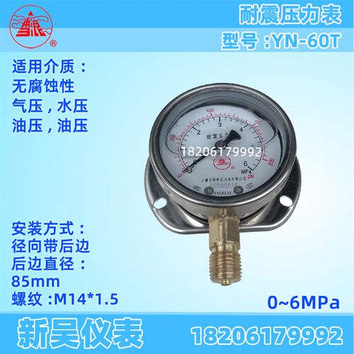 无锡特种 雪浪牌YN-60T 耐震气压油压压力表径向带后边 1MPA