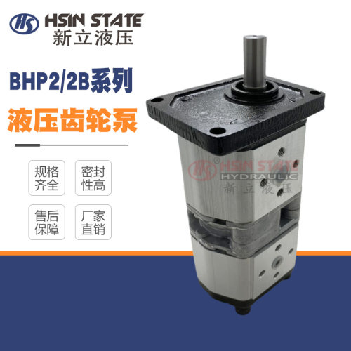 双联齿轮泵BHP2/2B1D6/D8/D10/D12/D14/16/18/D20/25/28C2E3/E3-E