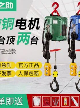 德国进口电动葫芦220v小吊机家用小型升降0.5吨微型便携提升机遥