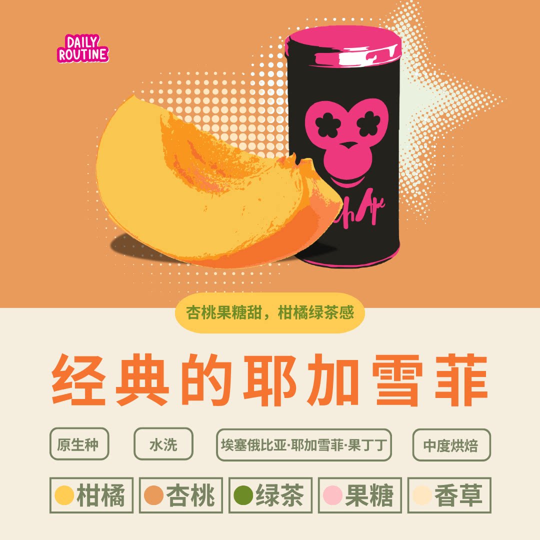耶加雪菲果丁丁水洗柑橘绿茶SOE手冲冷萃埃塞咖啡豆中烘 原生种