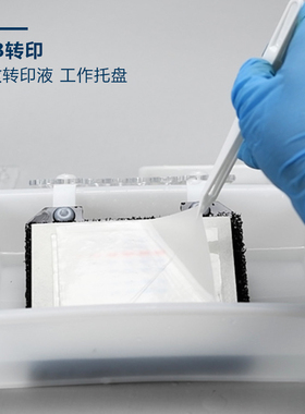 ern blot 通用托盘方盒 电泳存胶转印脱色染色 显影冲洗胶片