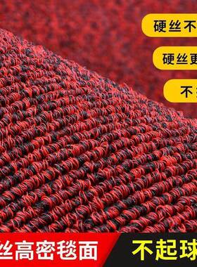 进门薄丝圈地垫门口酒裁店家用入门除尘地毯户EHL防滑耐硬磨脚垫