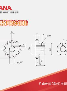 SUSFBN40B数齿：16~19不锈钢成品孔链轮JRVQ新IS键槽规格