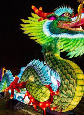 205大2型龙节年花灯户外龙灯不夜笼城夜景庙会灯五一国庆装饰DDT