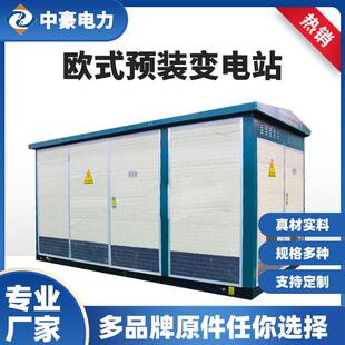 欧式预装变电站箱式变电器站成套式变箱压160kvEYO欧式箱变路a灯