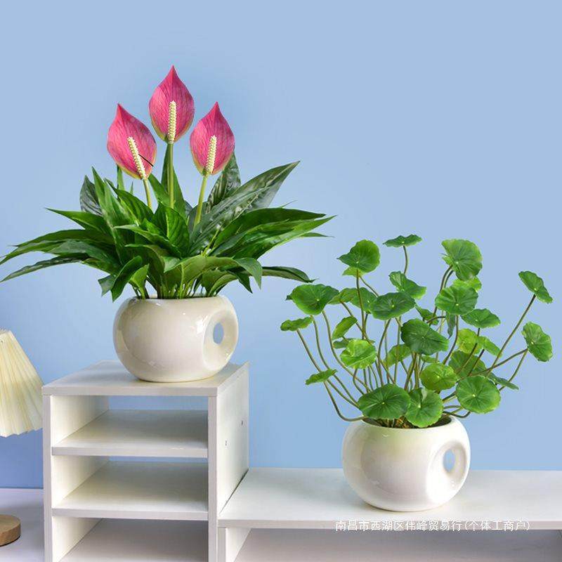 绿植白一帆QOS风植顺花塑料花假花绿盆掌饰栽室内装摆件