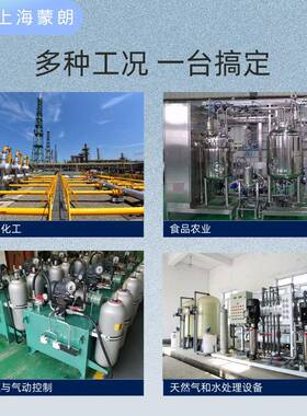 DLS0-27XiM-1-C-R0-GE10mm液位计甲烷煤尘采矿环境1限液VIX位极检