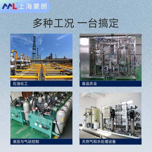 DLS0-27XiM-1-C-R0-GE10mm液位计甲烷煤尘采矿环境1限液VIX位极检