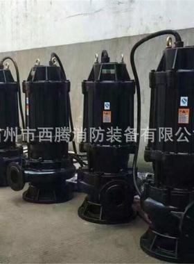 无水BWQ堵塞移动式潜溉水泵农灌抽用潜水泵便携式抽粪泥浆潜水泵