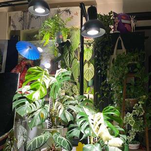 3物0W植补光灯全光谱热带绿灯植盆栽生长QZC支鱼缸落地灯架