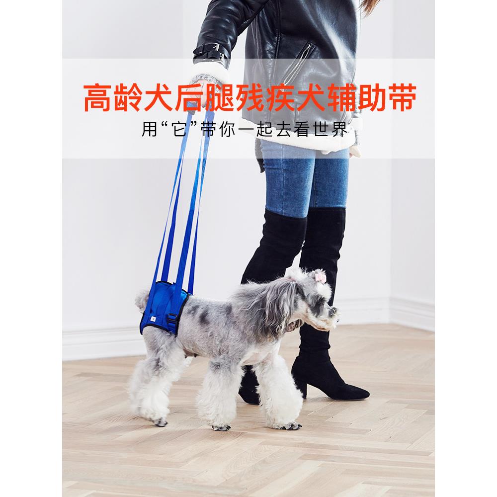 采购产品高级狗腿带,后腿带为残疾伤害,老年狗辅助带,后肢康覆