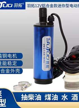 抽油泵12V电动直流柴油加油机24V电动抽油泵自吸潜水泵油抽子抽油