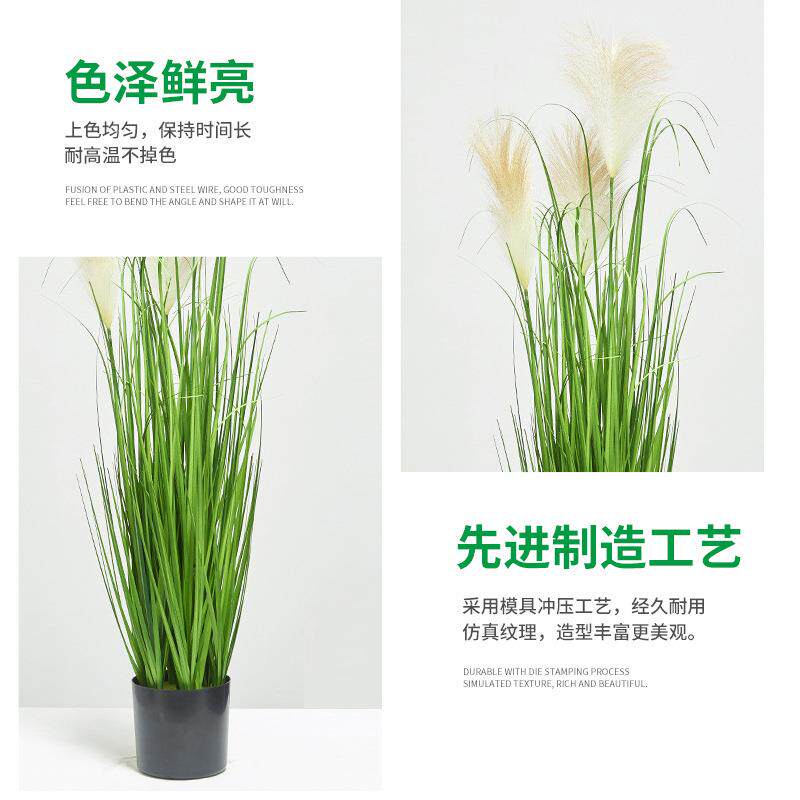 包邮三头仿真21820芦苇假蒲苇仿真叶花洋葱草生绿花植植物卉仿盆